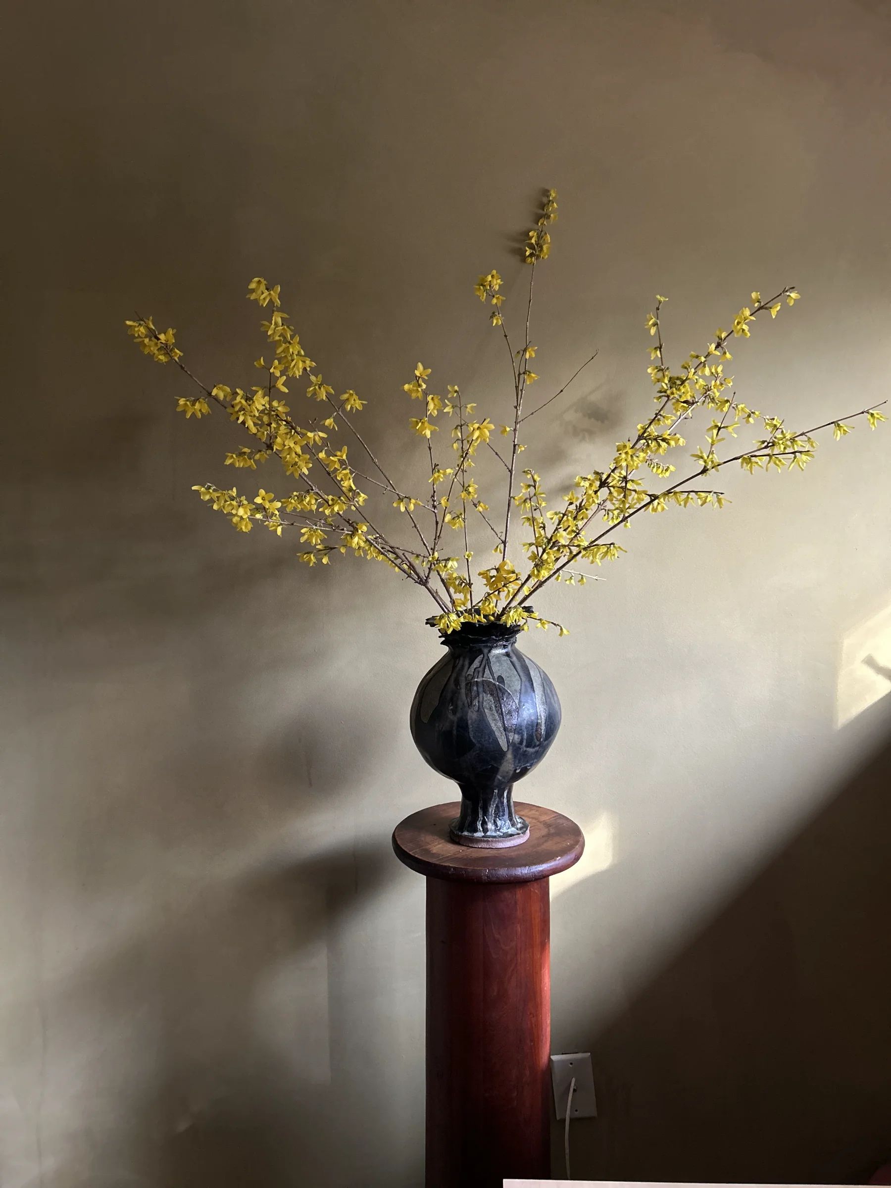 Vivienne Vessel 2