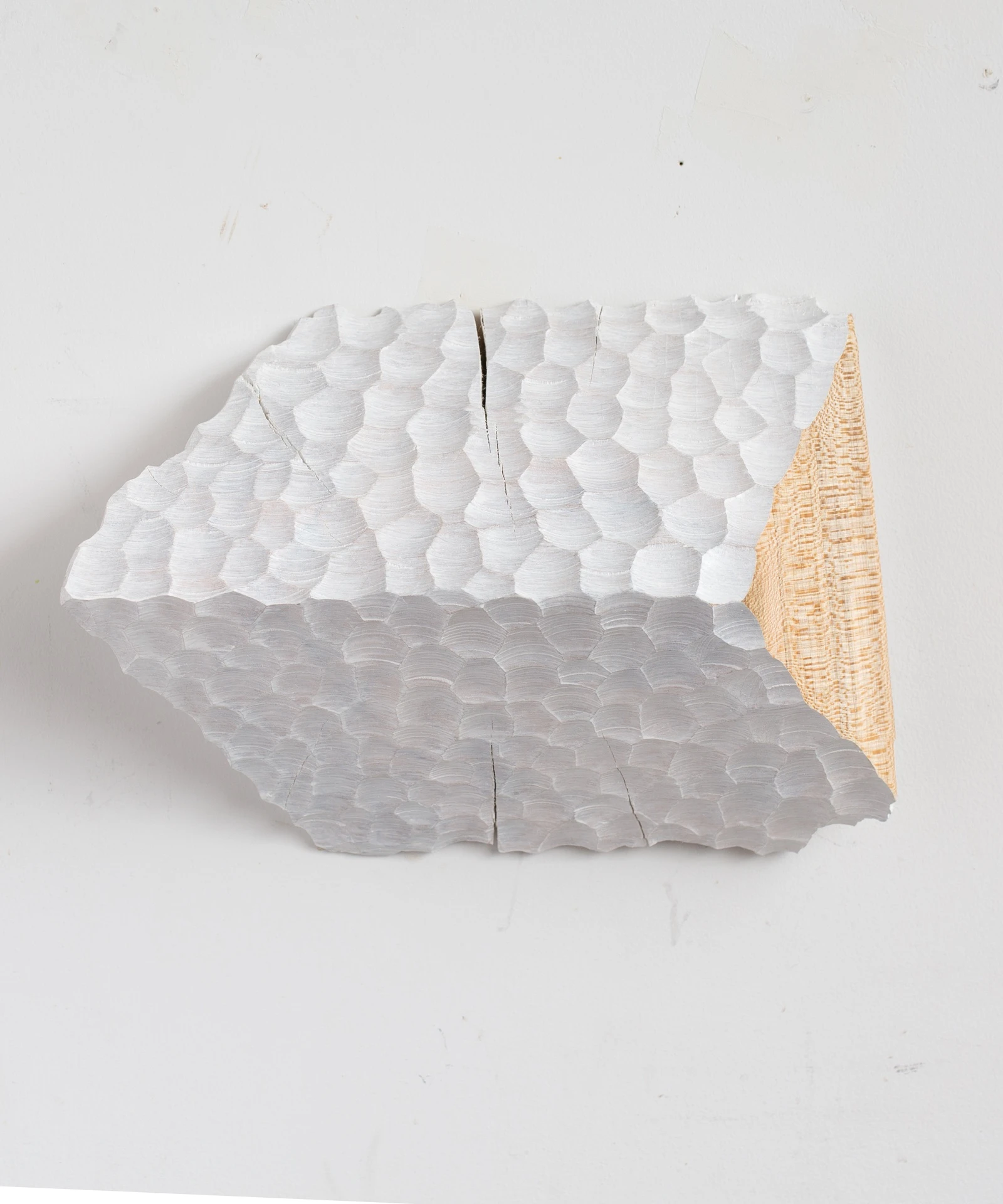 Offcut IV by Cody Brgant
