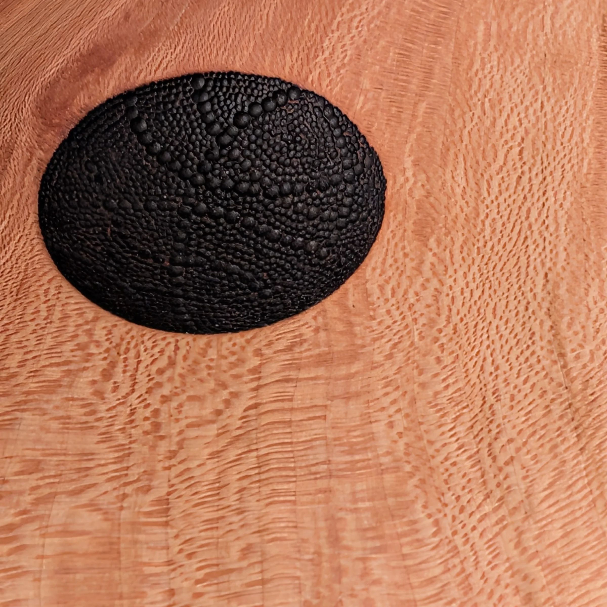 Sycamore Platter 6