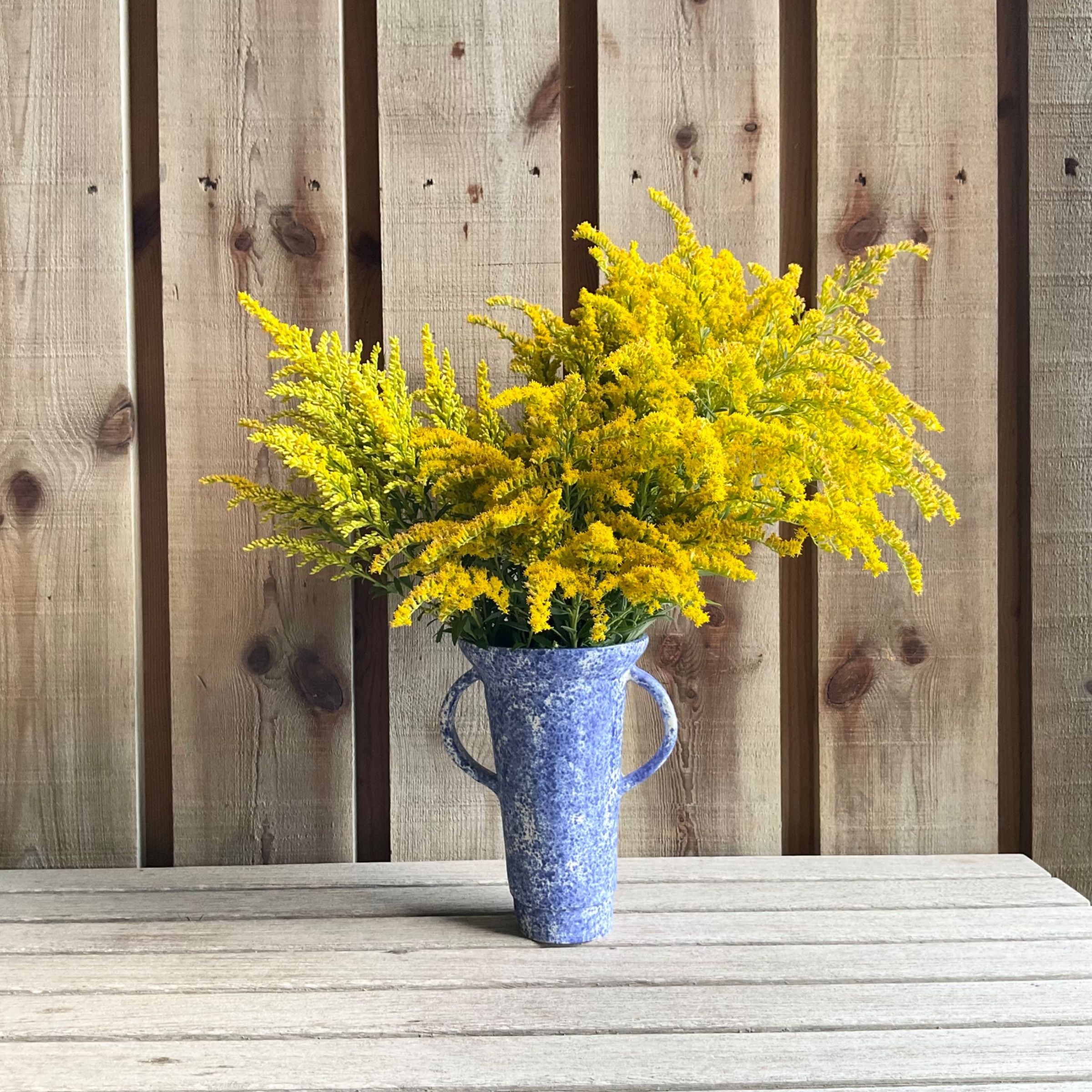 Vase with handles 3