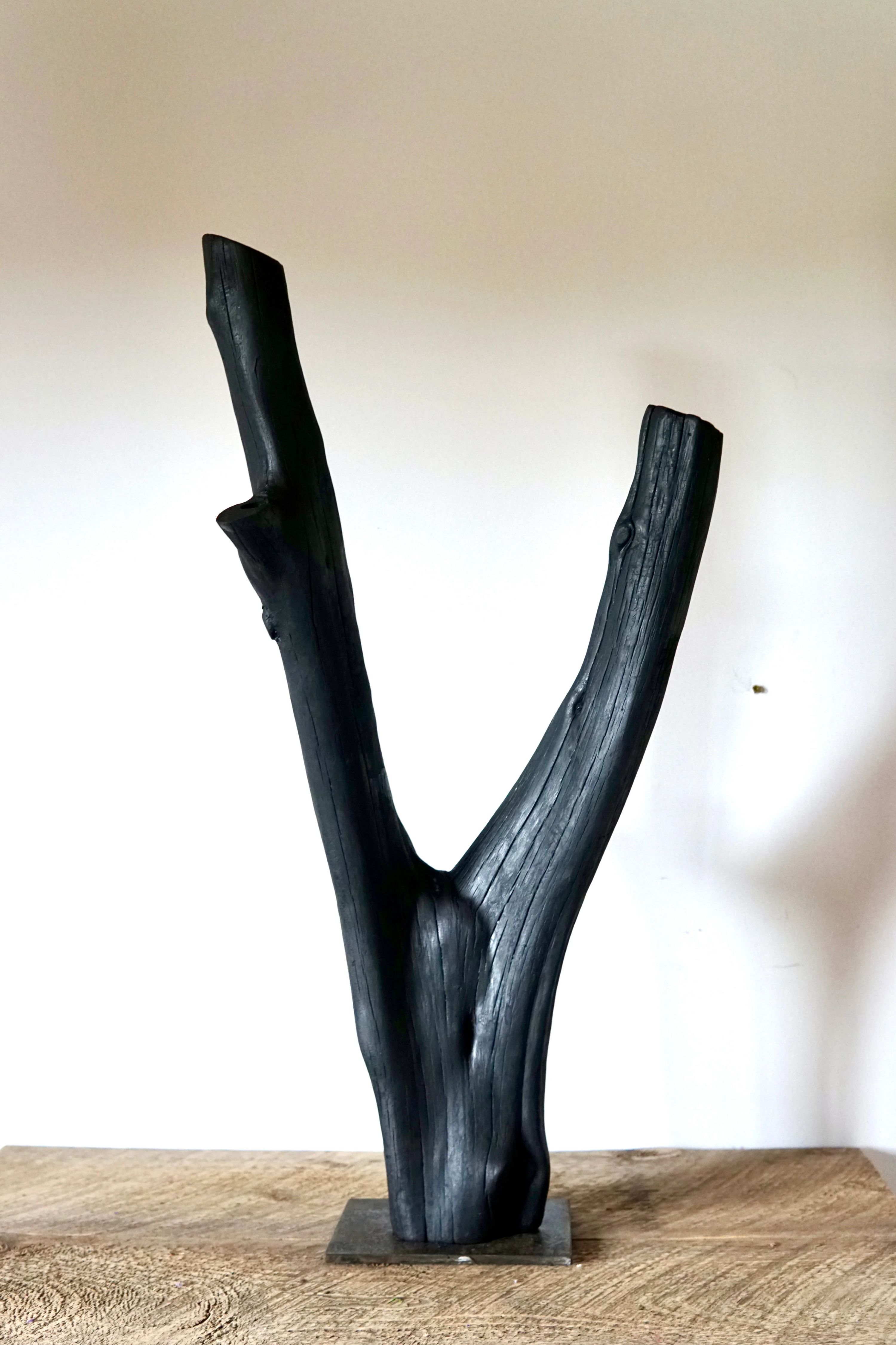 Don't Be Afraid to Branch Out by Seven Cedars NY