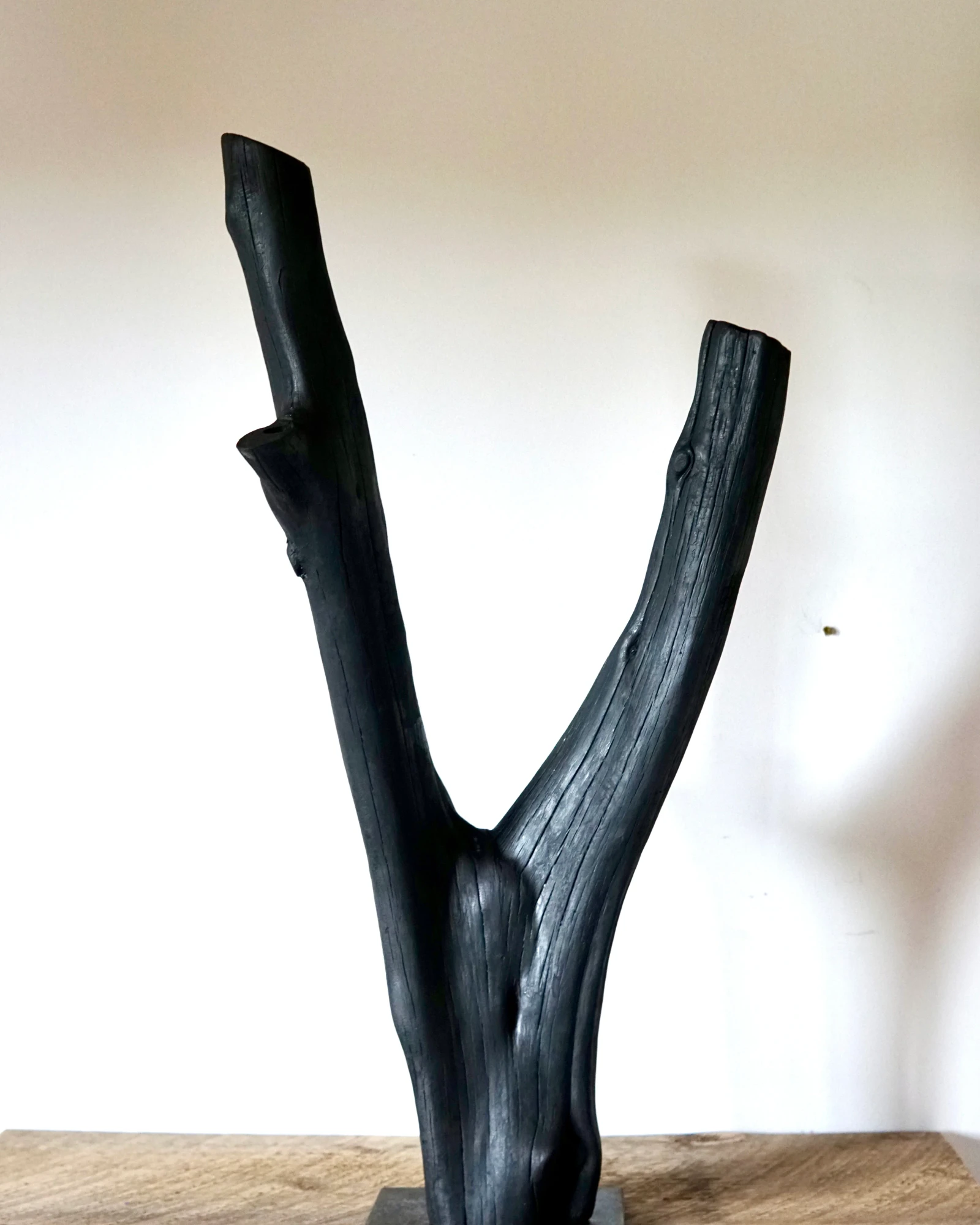 Don't Be Afraid to Branch Out by Seven Cedars NY