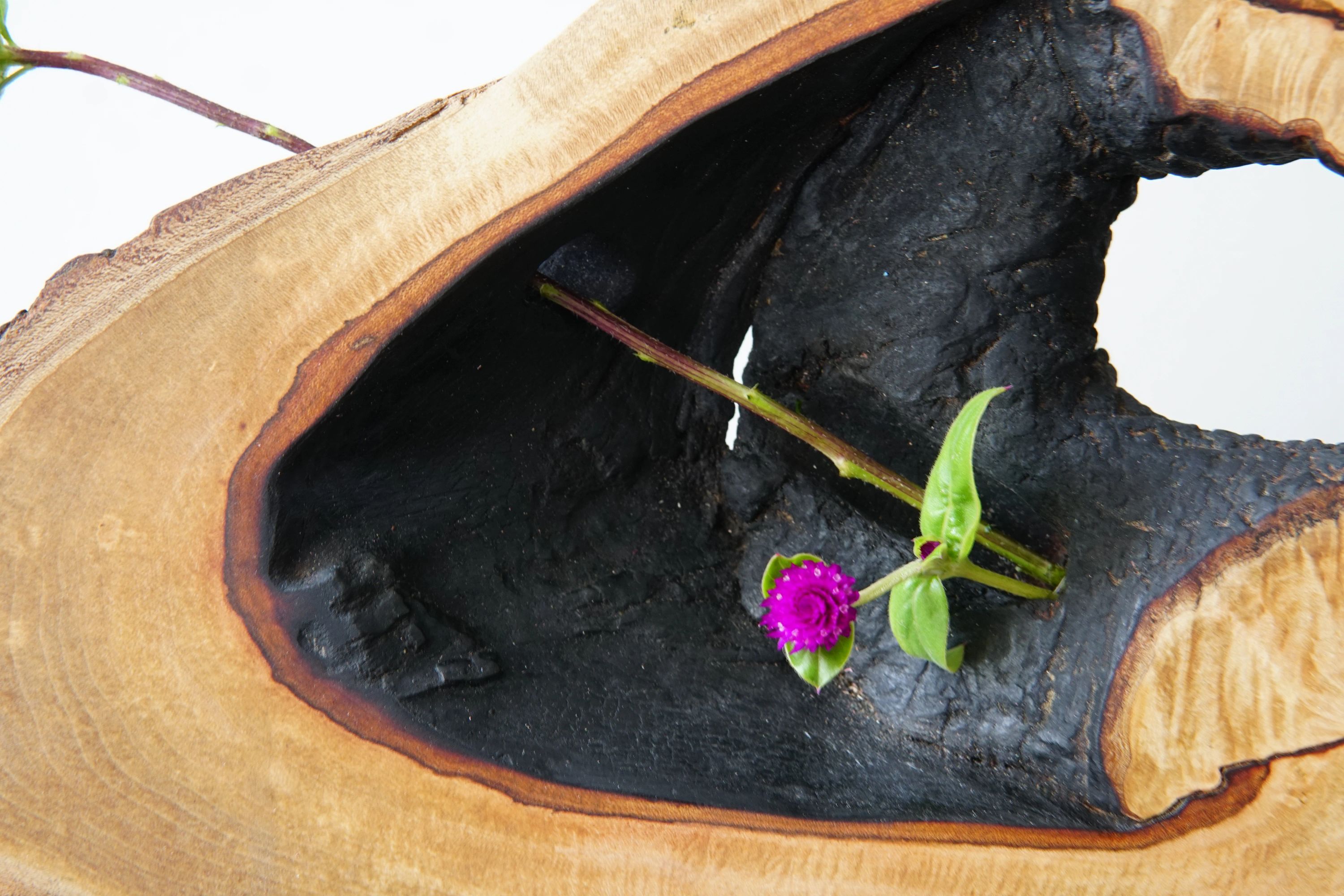 Half of Infinity Is Still Infinity Hickory Vase 4